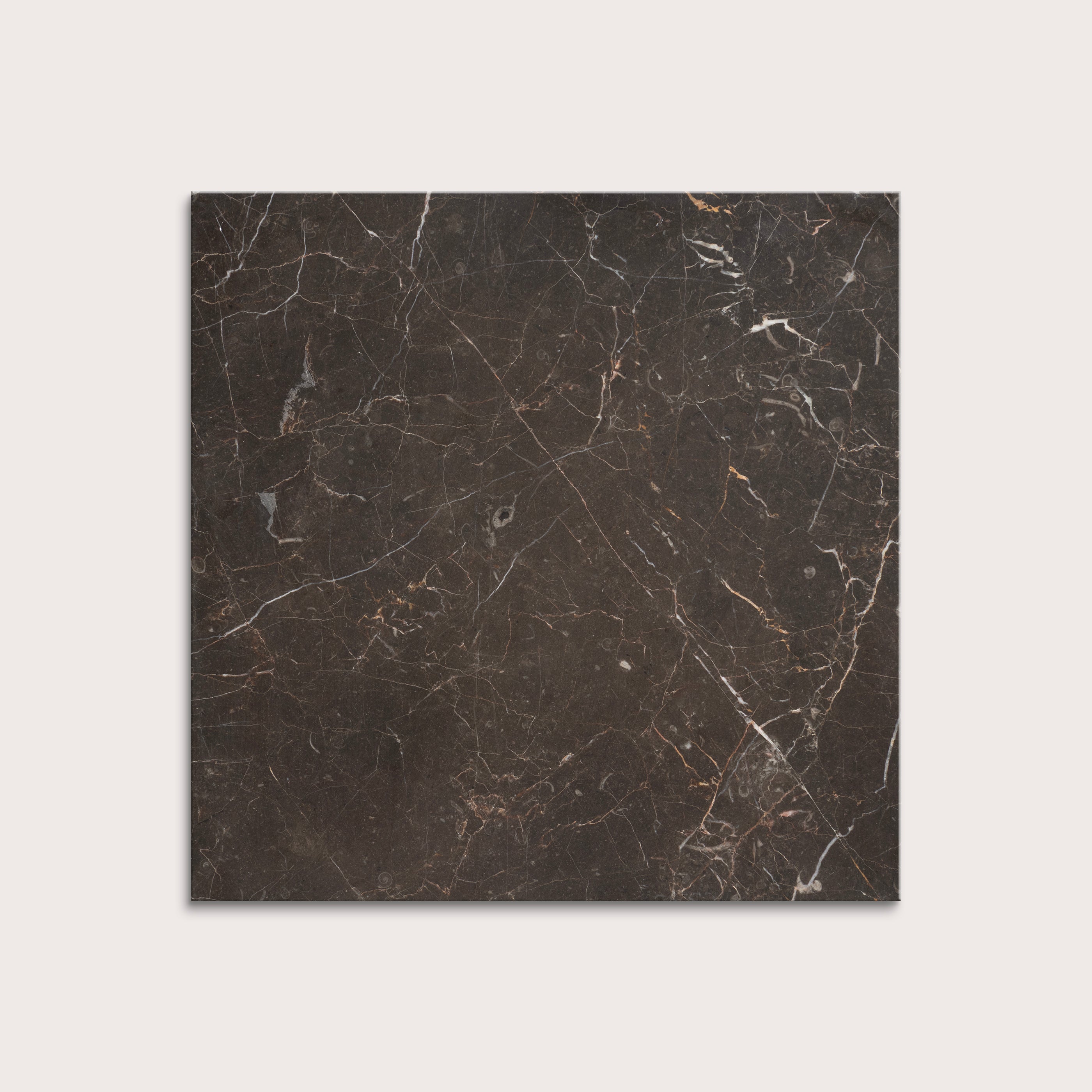 brown marble tiles with visible veins on a white background