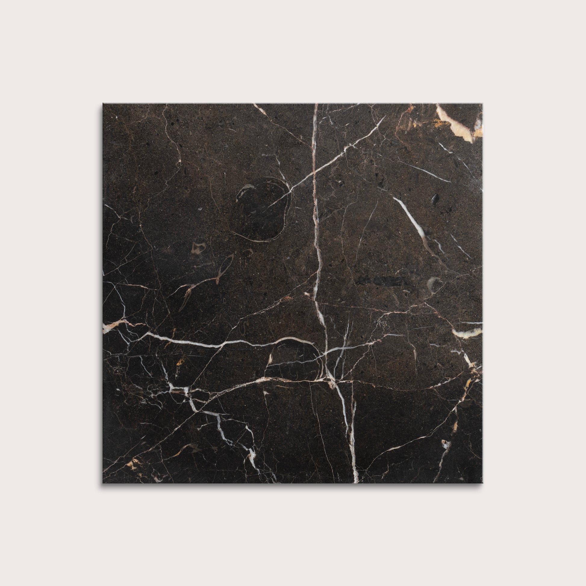 brown marble tiles with visible veins on a white background