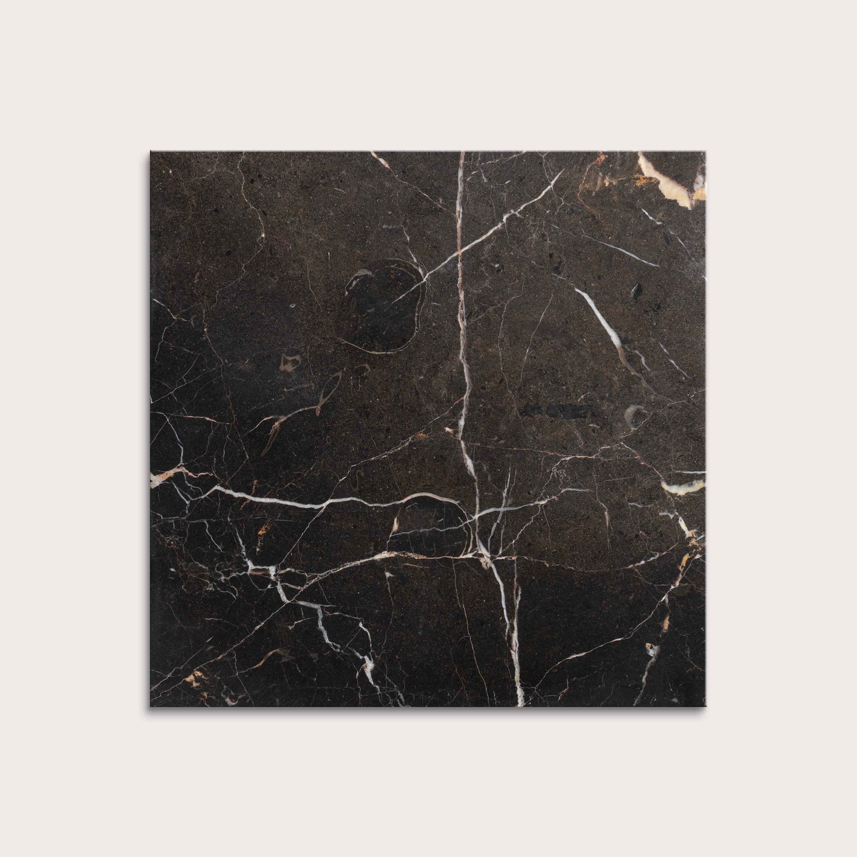 brown marble tiles with visible veins on a white background