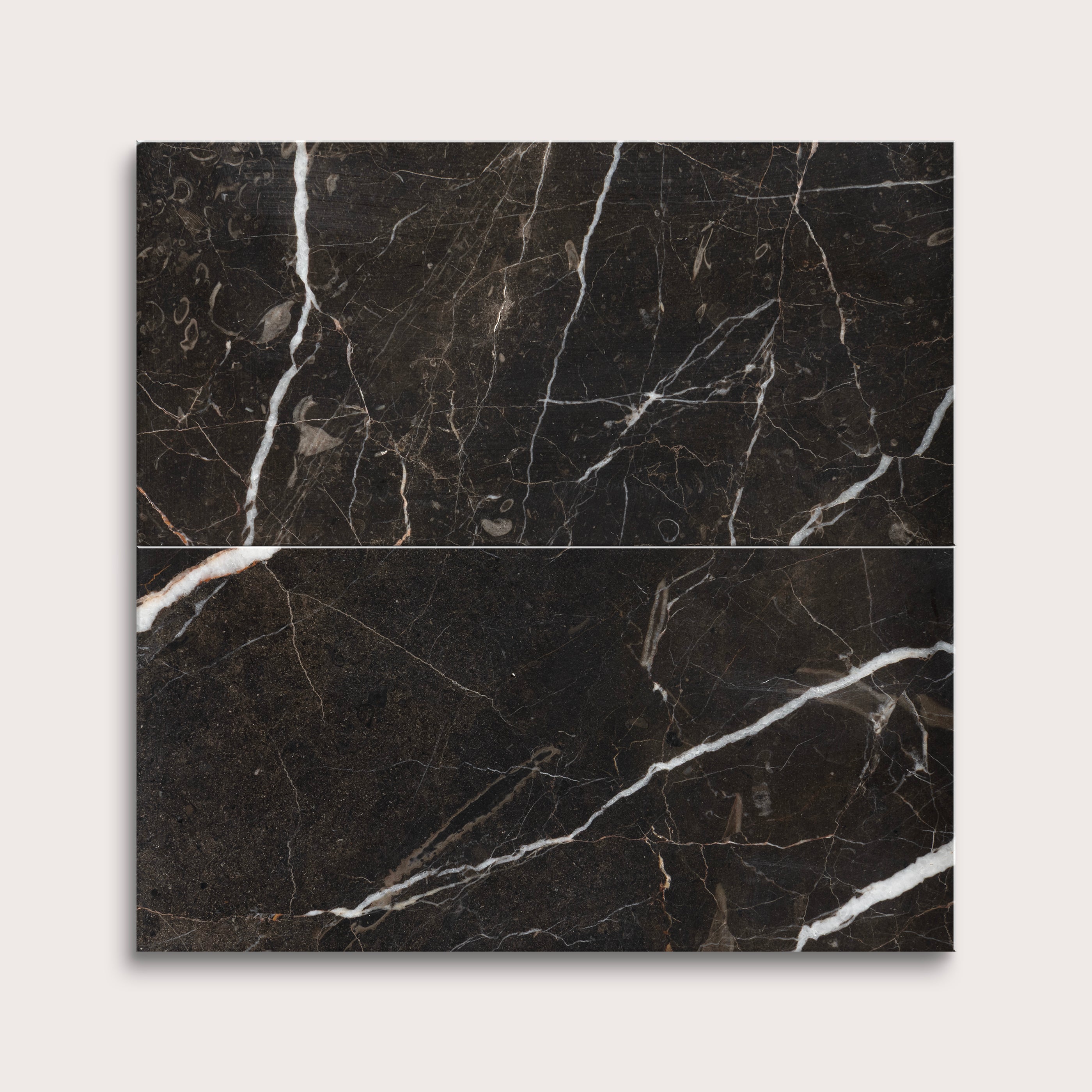 Two brown marble tiles with white veins on a light gray background