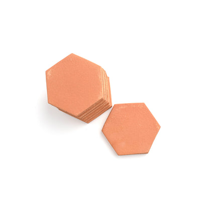 Sample: Hexagon 4 Inch Terracotta Tile (1 sample = 2 tiles)-Sample-Sample-Riad Tile