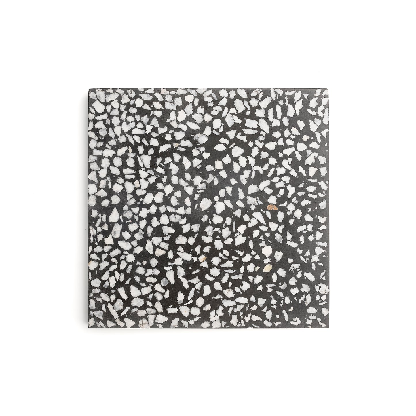 Black 12x12 Terrazzo Tile-Main Inventory-All Products,Terrazzo-Riad Tile